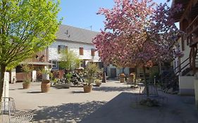 Schoene Wohnung Kleiner Onkel Auf Idyllischem Reiterhof Nahe Burg Eltz