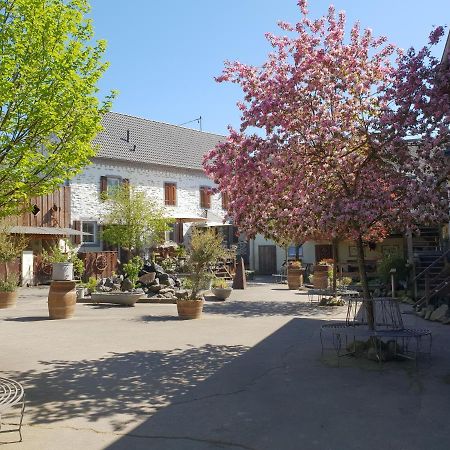 Schoene Wohnung Kleiner Onkel Auf Idyllischem Reiterhof Nahe Burg Eltz Münstermaifeld Buitenkant foto