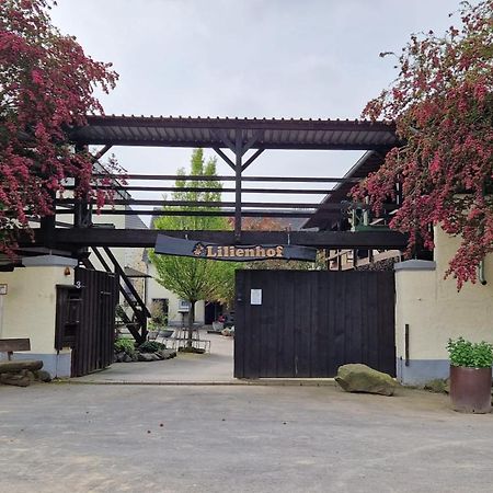 Schoene Wohnung Kleiner Onkel Auf Idyllischem Reiterhof Nahe Burg Eltz Münstermaifeld Buitenkant foto