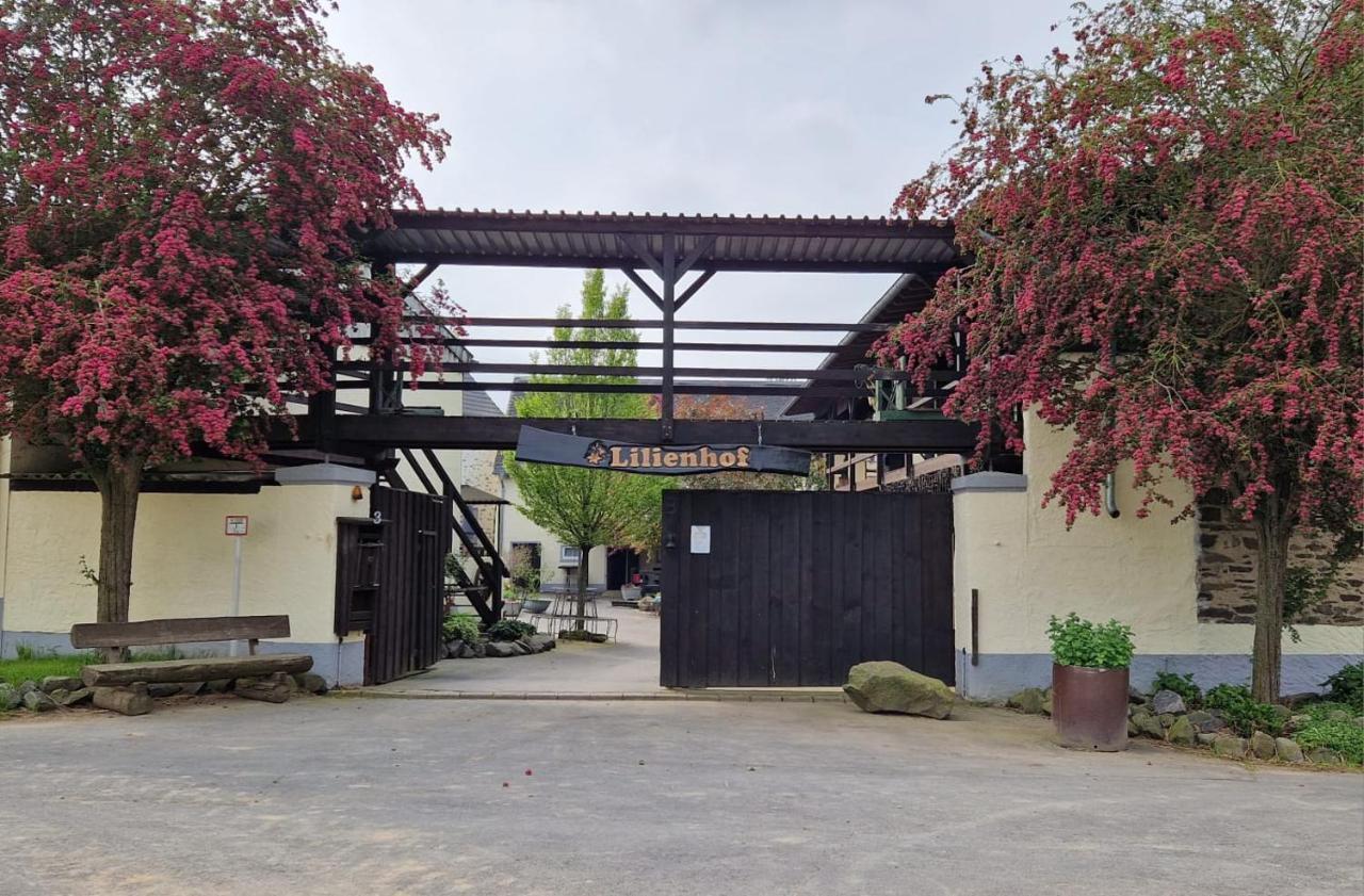 Schoene Wohnung Kleiner Onkel Auf Idyllischem Reiterhof Nahe Burg Eltz Münstermaifeld Buitenkant foto